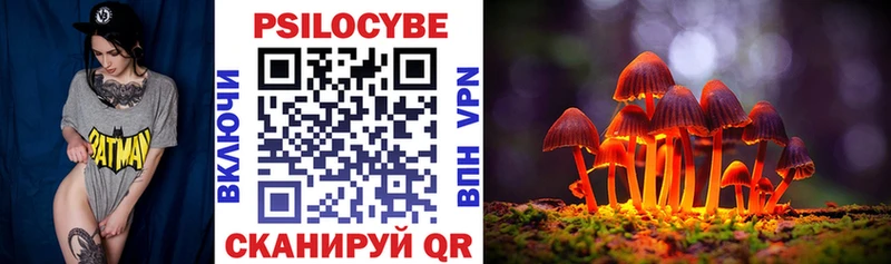 Псилоцибиновые грибы MAGIC MUSHROOMS  Томмот 